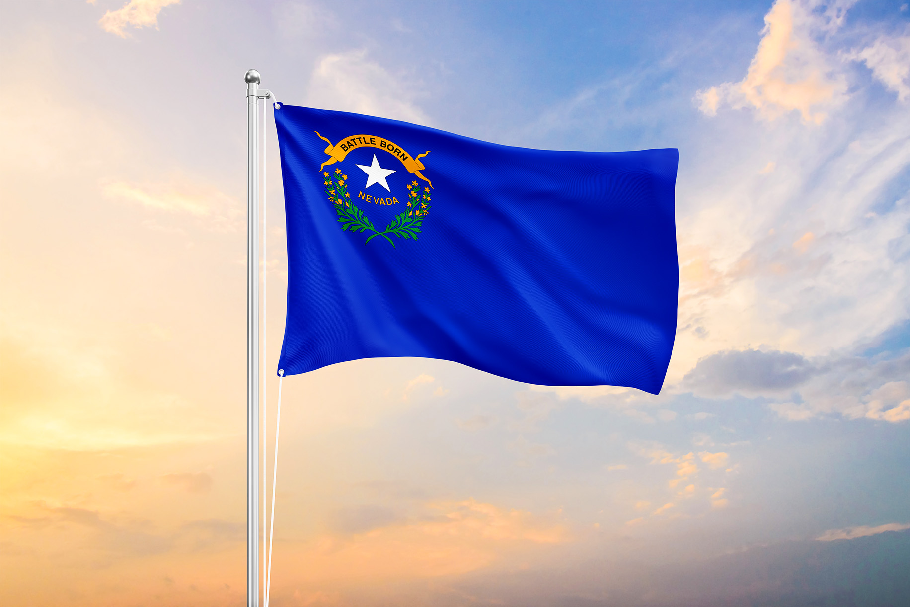 The Nevada State Flag